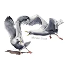 Tekstylia - PTAKI MORSKIE