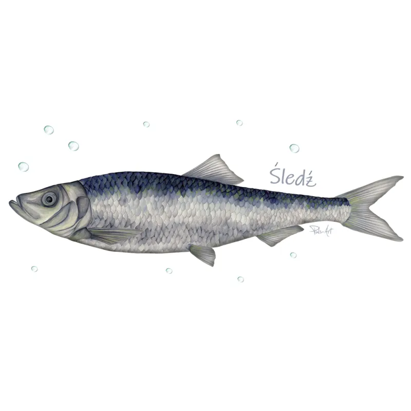 Tekstylia - RYBY MORSKIE - Piękne i kolorowe dodatki do wnętrza