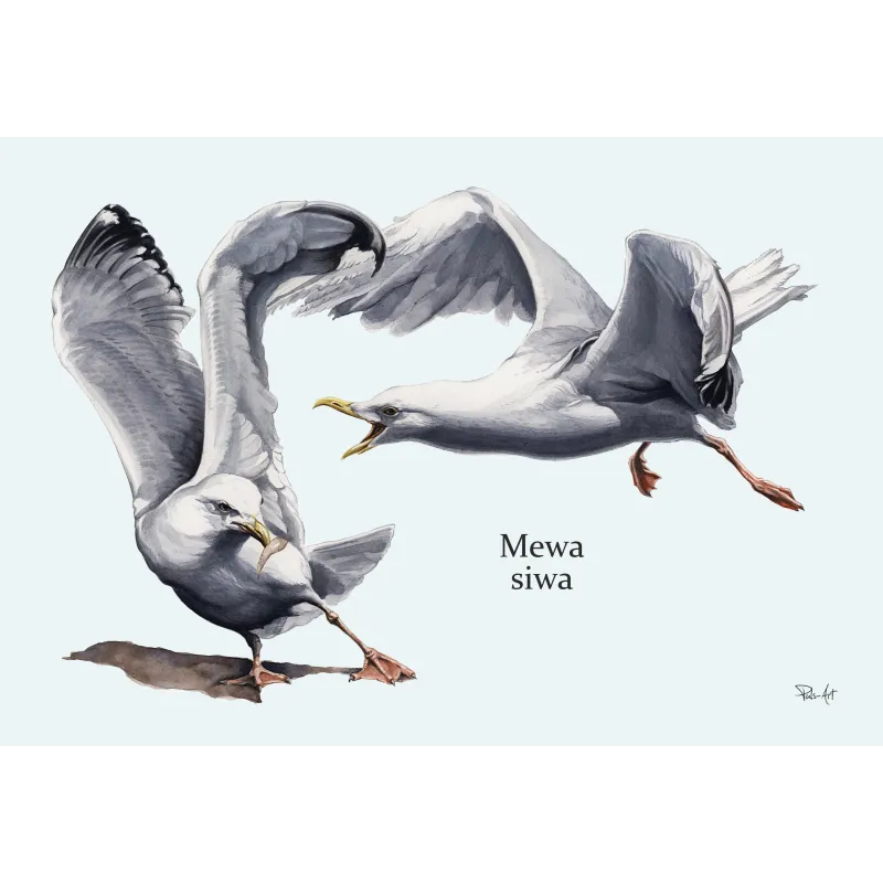 Ekologiczne Puzzle ptaki morskie - Edukacyjna zabawa dla dzieci