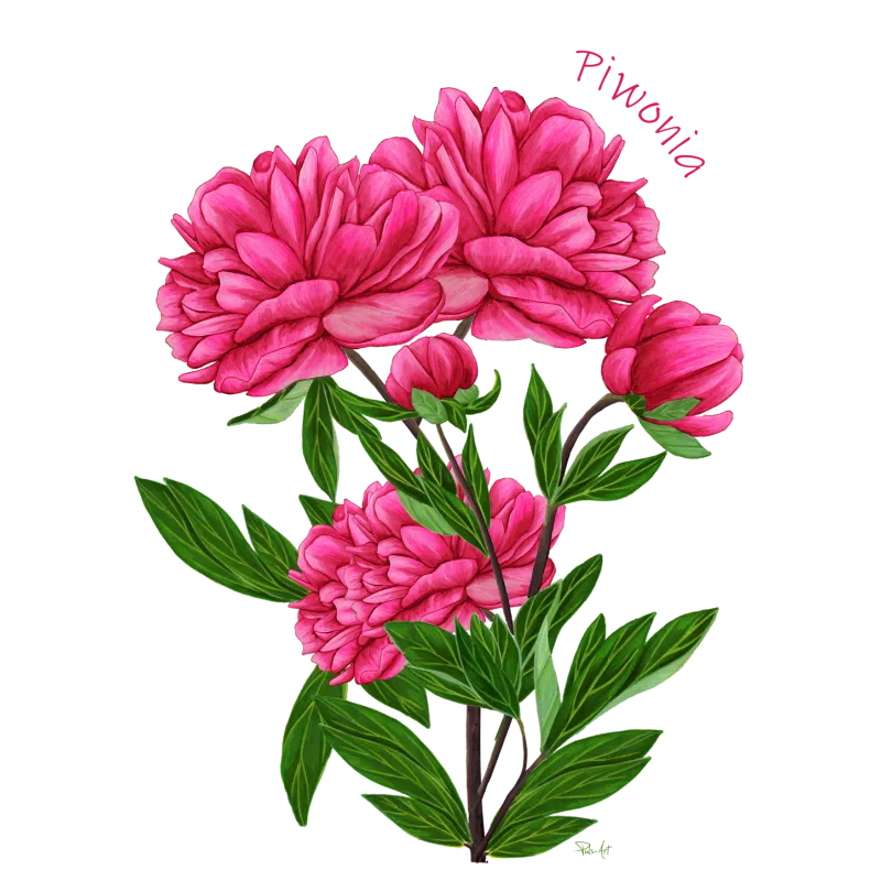 Puzzle - KWIATY: Rozświetl swój dzień kolorowym wyzwaniem!