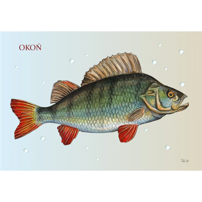 Ekologiczne Puzzle Ryby Słodkowodne dla Dzieci - Pulsartshop