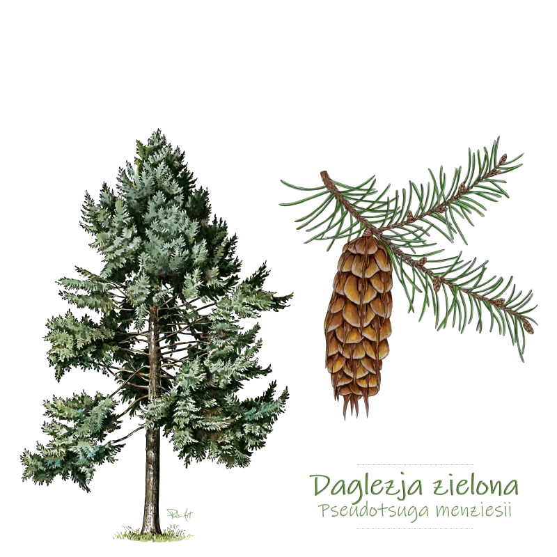 Eko Tekstylia dla Miłośników Natury - Pulsartshop