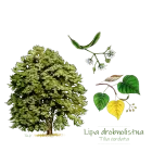 Tekstylia - DRZEWA z opcją PERSONALIZACJI